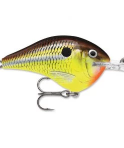 Crankbaits Rapala DT 8
