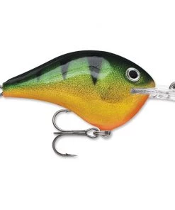 Rapala DT 14 Crankbaits