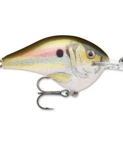 Crankbaits Rapala DT 8