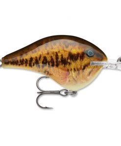 Rapala DT 14 Crankbaits