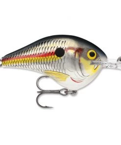 Crankbaits Rapala DT 8