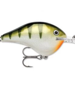 Crankbaits Rapala DT 8