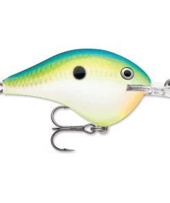 Rapala DT 14 Crankbaits