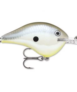 Crankbaits Rapala DT 8