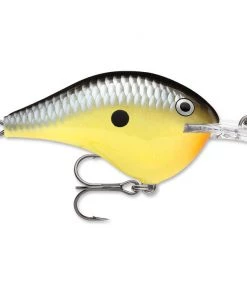 Rapala DT 14 Crankbaits