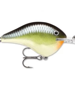 Rapala DT 14 Crankbaits
