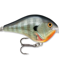 Rapala DT 14 Crankbaits