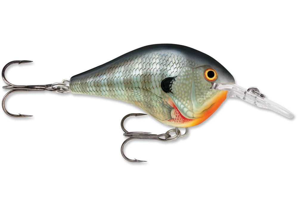 Crankbaits Rapala DT 6 8 Crankbaits Rapala DT 6