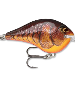 Crankbaits Rapala DT 6 28 Crankbaits Rapala DT 6