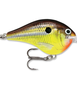 Rapala DT 14 Crankbaits