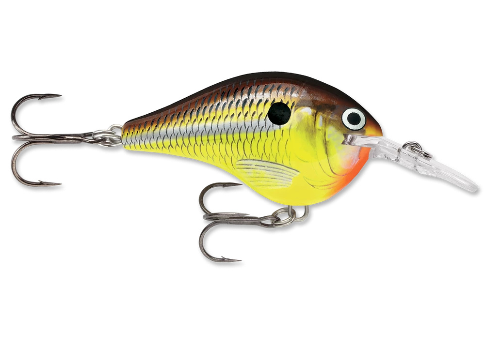Crankbaits Rapala DT 6 12 Crankbaits Rapala DT 6