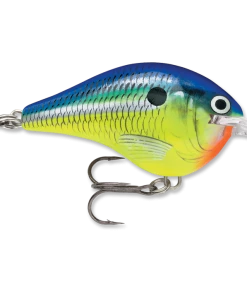 Crankbaits Rapala DT 6 38 Crankbaits Rapala DT 6