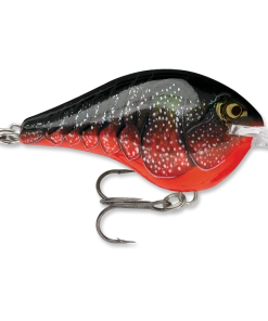 Crankbaits Rapala DT 6 39 Crankbaits Rapala DT 6