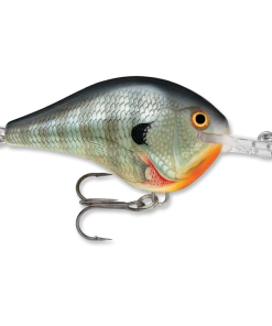 Rapala DT 14 Crankbaits
