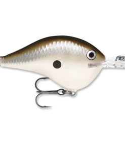 Crankbaits Rapala DT 8