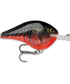 Rapala DT 14 Crankbaits