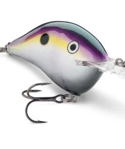 Crankbaits Rapala DT 6 48 Crankbaits Rapala DT 6