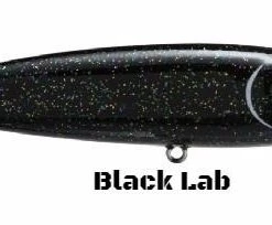 Strike King KVD Sexy Dawg Topwater