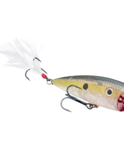 Topwater Strike King KVD Splash 24 Topwater Strike King KVD Splash