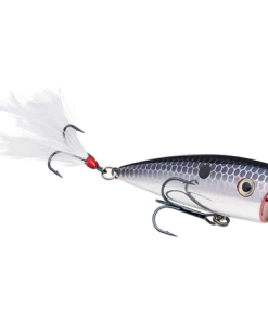 Strike King KVD Splash Jr.