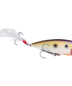 Strike King KVD Splash Jr.