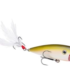 Strike King KVD Splash Jr.