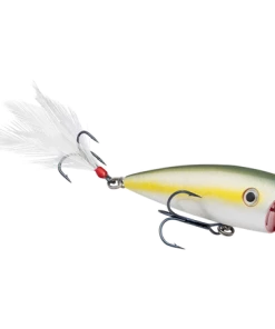 Strike King KVD Splash Jr.