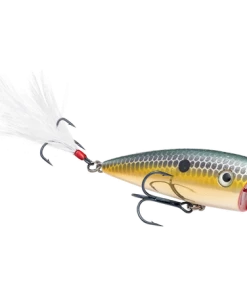 Strike King KVD Splash Jr.