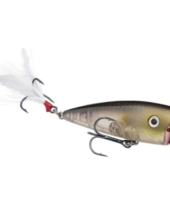 Strike King KVD Splash Jr.