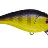 Crankbaits Lucky Craft LC 1.5 SSR