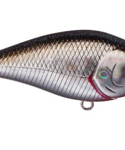 Lucky Craft LC 2.5 SSR Crankbaits