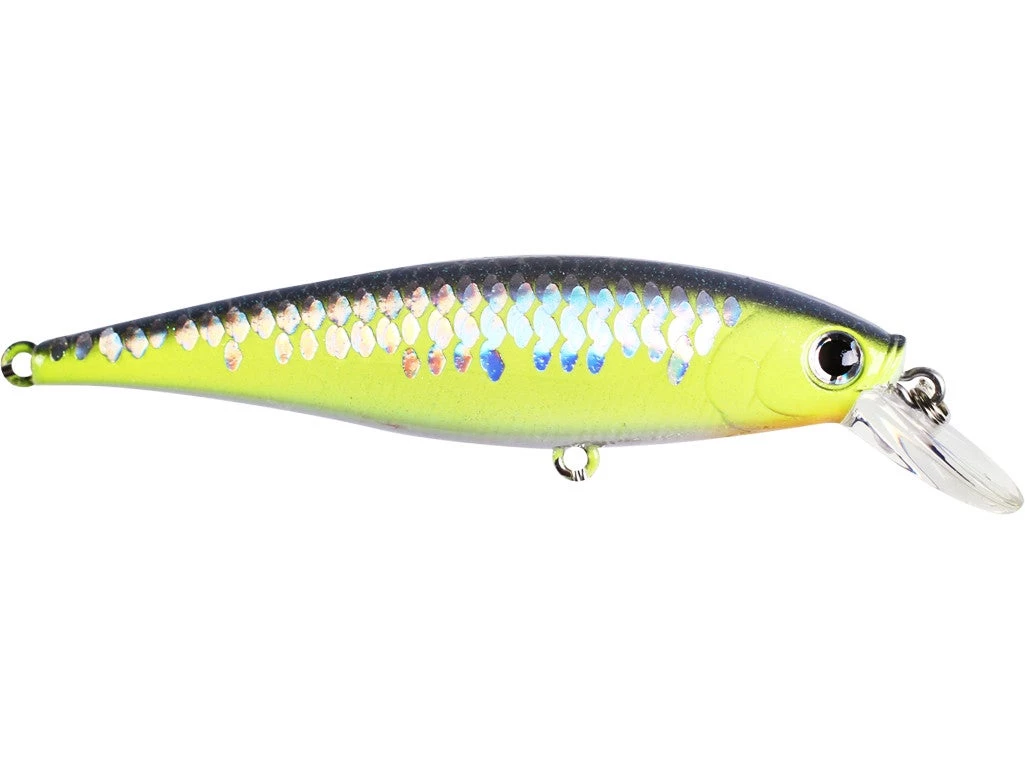 Lucky Craft Pointer 100 SP 7 Lucky Craft Pointer 100 SP