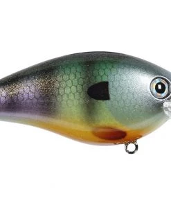 Strike King HC KVD 2.5 Squarebill Crankbait (Silent) Crankbaits