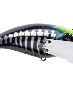 Topwater Jackall Pompadour