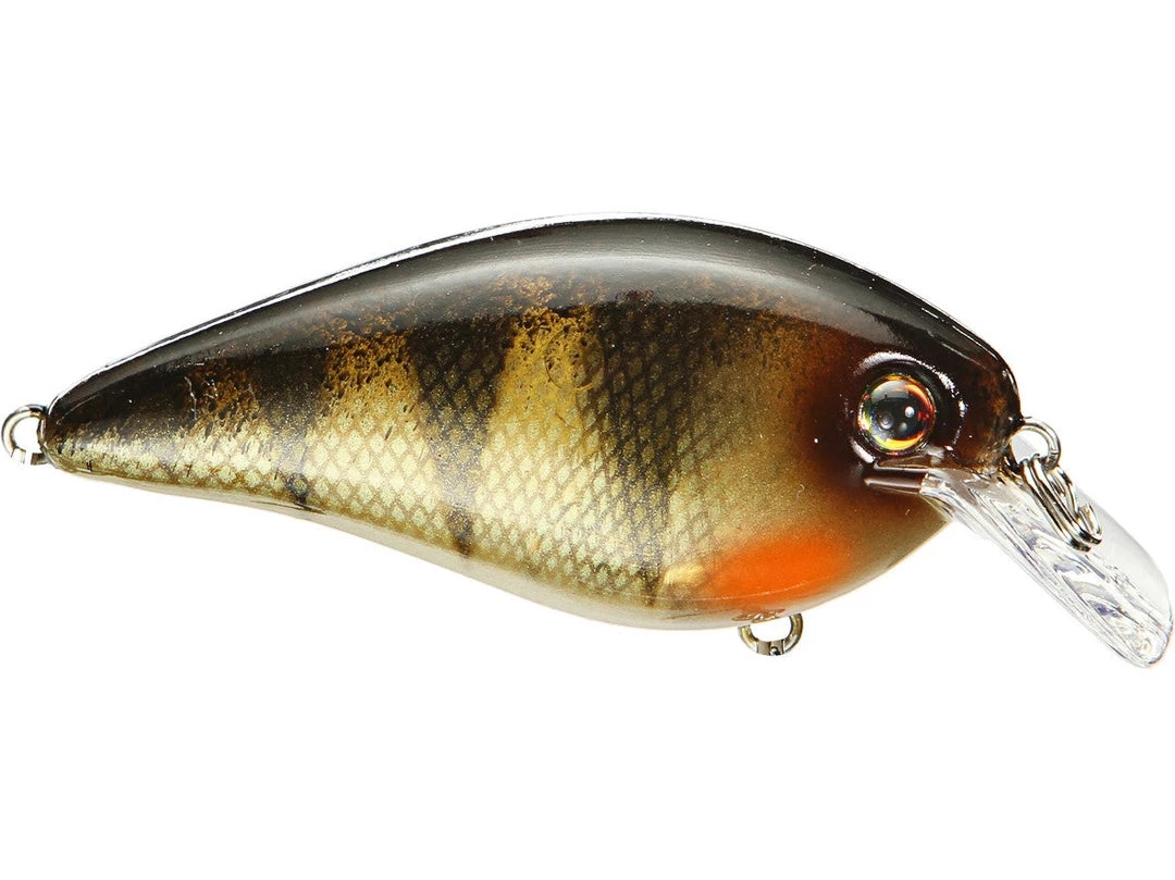 Strike King HC KVD 1.5 Squarebill Crankbait 59 Strike King HC KVD 1.5 Squarebill Crankbait