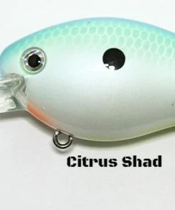 Strike King KVD 1.5DD Squarebill Crankbait