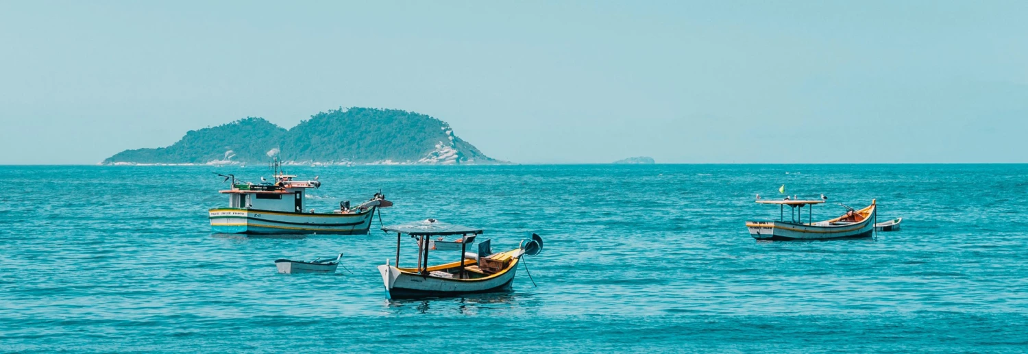 Tackle Inc Sales -Tackle Inc Sales tackle scaled